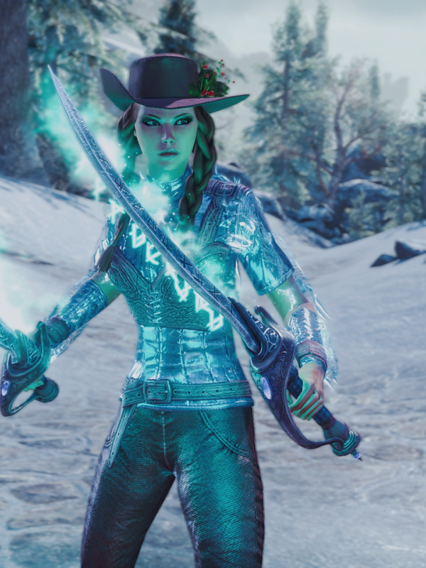 Magicka Warden PvE build