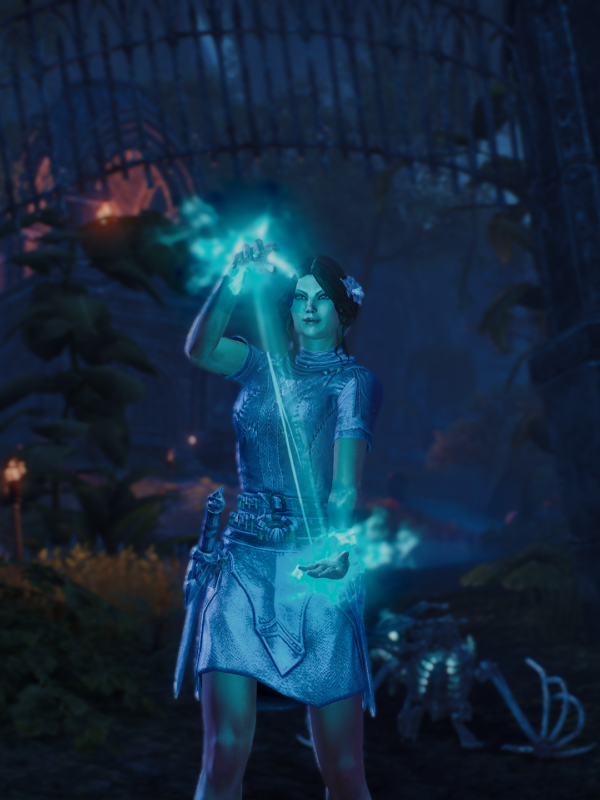 Magicka Necromancer PvE build