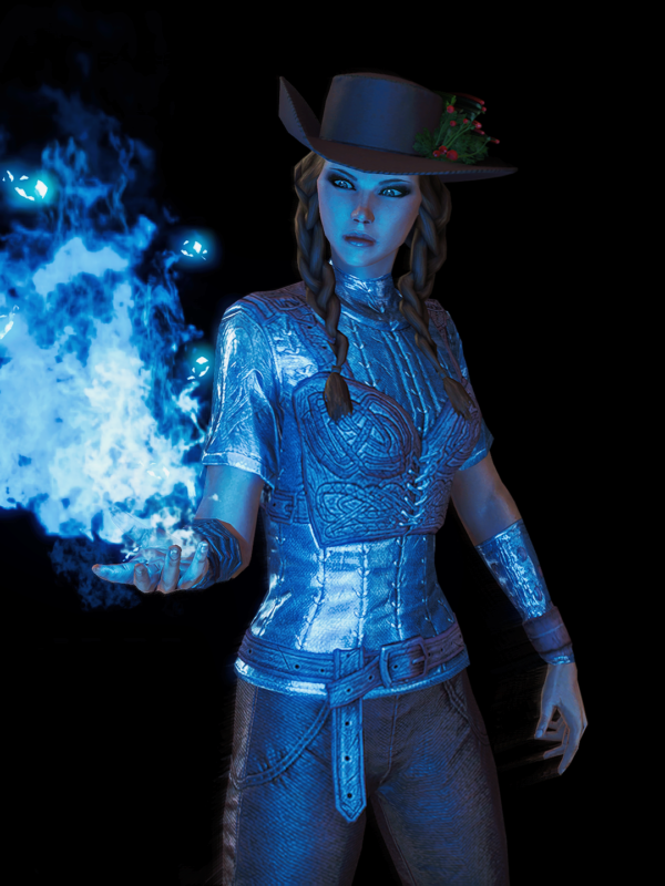 Magicka Warden PvP build